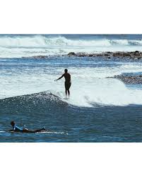 Image result for Scarborough Malibu Surf Club