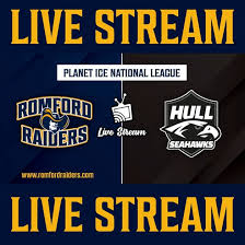 Image result for Romford Raiders