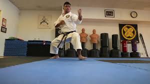 Image result for New Path Martial Arts Academy