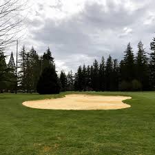 Image result for Bellingham Golf Club