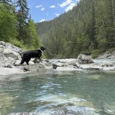 Image result for Leek Park B C