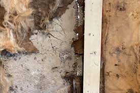 Image result for Maybole Memorial Park Bowling Club