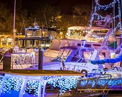 Image result for Harbour Lights Snorkelling Club (HLSC)