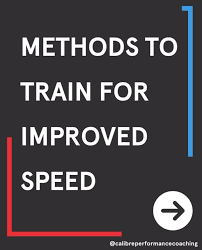 Image result for Calibre Performance Coaching