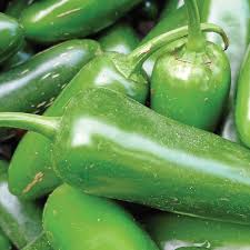 Afbeeldingsresultaat voor jalapeno early hot pepper