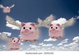 Image result for flying pigs