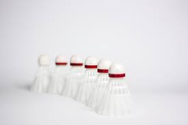 Image result for Liskeard Badminton Club