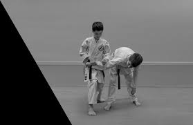 Image result for HEIWA SHOTOKAN KARATE CLUB