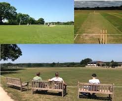 Image result for South Nutfield Cricket Club