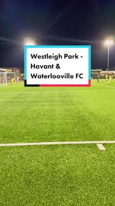 Image result for Westleigh Basketball Club