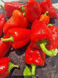 Afbeeldingsresultaat voor lipstick hot pepper