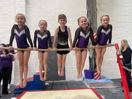 Image result for Brumby Gymnastics Club