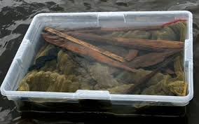 Image result for Aztec Divers