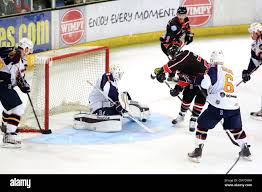 Image result for Basingstoke Bison Ice Hockey Club