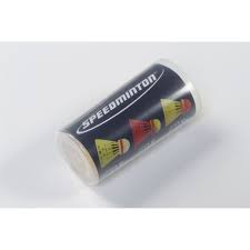 Image result for Liverpool Lizards Speedminton Club