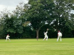 Image result for Redlynch and Hale Cricket Club