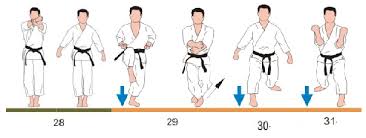 Image result for Jodan Karate