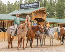 Image result for Palmers Riding Stables