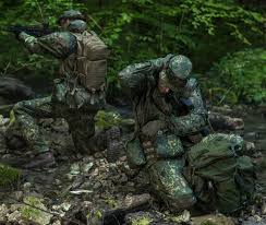 Image result for molle