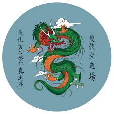Image result for Dragon Wushu Club