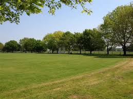 Image result for Peper Harow Cricket Club