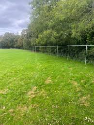 Image result for Bredon Cricket Club