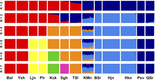 Image result for pfanzelt tehron
