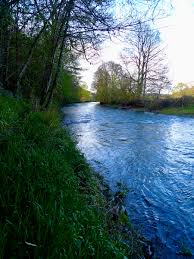 Image result for Dulverton Angling Association