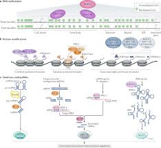 Image result for %EA%EB%E0%E2%E8%E0%F2%F3%F0%E0