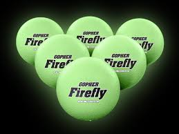 Image result for Enderby Junior Dodgeball Club