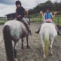 Image result for Weybridge Equestrian Centre