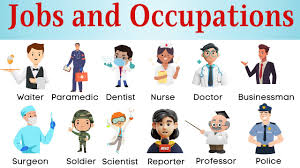 Image result for occupations