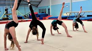 Image result for York University Gymnastics Club