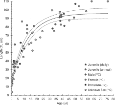 Image result for Hyporthodus quernus