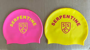Image result for Serpentine Swimming Club