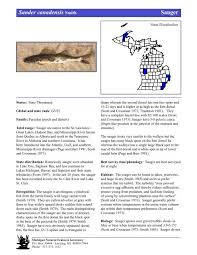 Image result for Sander canadensis