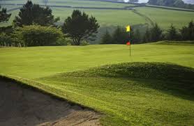 Image result for Carmarthen Golf Club