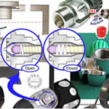 Image result for TAL Divers