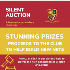 Image result for Walton-On-Thames Cricket Club