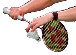 Image result for Addison Exiles Badminton Club