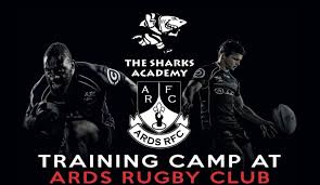 Image result for Ards Rugby Football Club