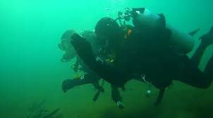 Image result for Aquanauts Dive Centre Sunderland