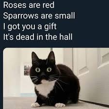 Image result for Carn Brea Karate Kai