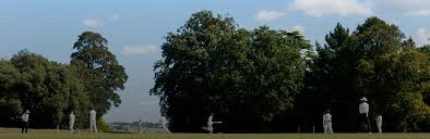 Image result for Antelope & Castle Cricket Club