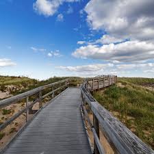 Image result for Epping Runners