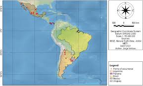 Attēlu rezultāti vaicājumam “Lycogala flavofuscum”