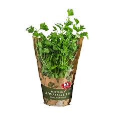 Image result for Petersilie