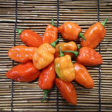 Afbeeldingsresultaat voor orange habanero hot pepper
