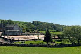 Image result for Shey Copse Riding Centre
