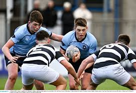 Image result for Belvedere Park Junior Football Club